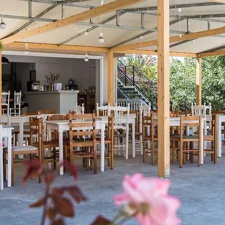 Zante Plaza & 3* 라가나스